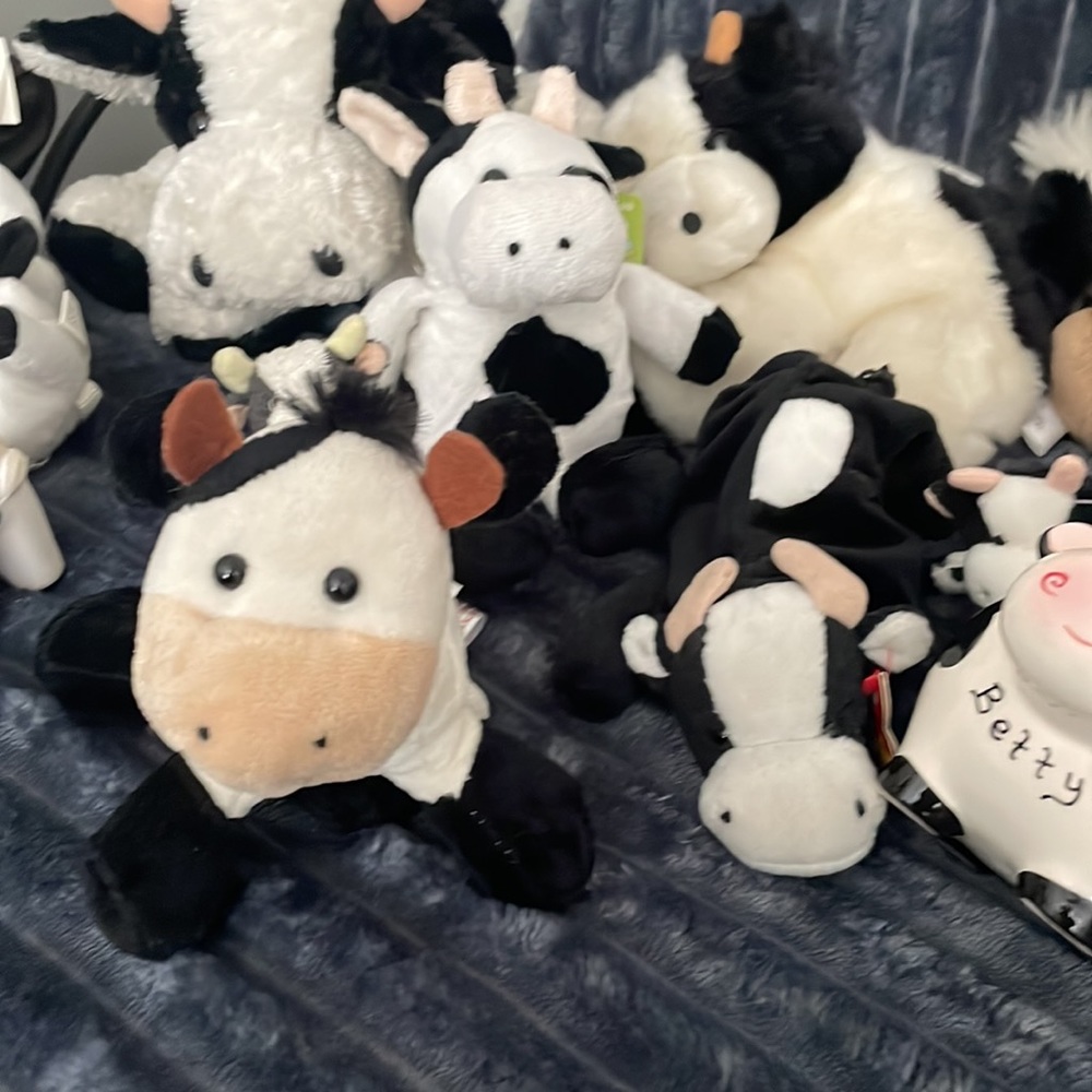 Cute Cow Collection - Picture 5 of 6